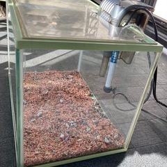 【値下げ】メダカ飼育セットの画像