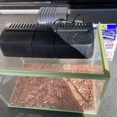 【値下げ】メダカ飼育セットの画像
