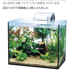 値下げ　水槽　フィルター　ライト　ヒーター