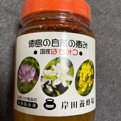 はちみつ
の画像
