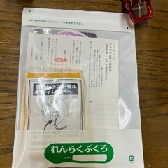 ① 【未使用品・倉庫保管品】　コイズミ　ポケモンランドセル　箱付き　レッド色の画像