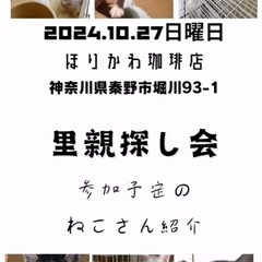 保護猫譲渡会in秦野☆