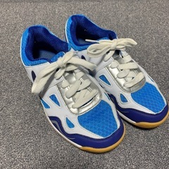 卓球シューズ　バタフライ　22cmの画像