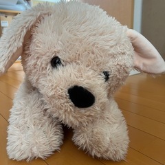 いぬのぬいぐるみ