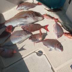 爆釣自作タイラバトリプルフック５セットの画像