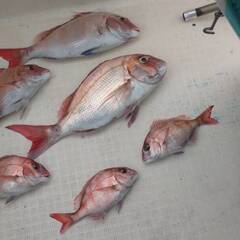 爆釣自作タイラバトリプルフック５セットの画像