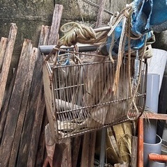 【決まりました】潮干狩り　ジョレン