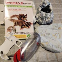 フクロモモンガのご飯の画像