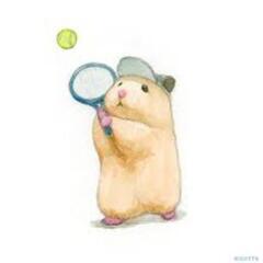火曜ナイターテニス(初心者、初級、初中級)
