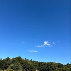 おじちゃんの新米こしひかり 5キロ庄原産【予約募集中】‼️