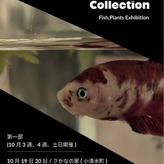 熱帯魚•観葉植物イベント