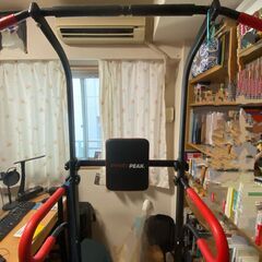 PYKES PEAK (パイクスピーク) ぶら下がり健康器の画像