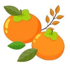 🍊柿🍊