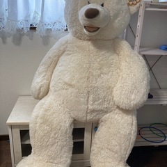 コストコのくまのぬいぐるみ