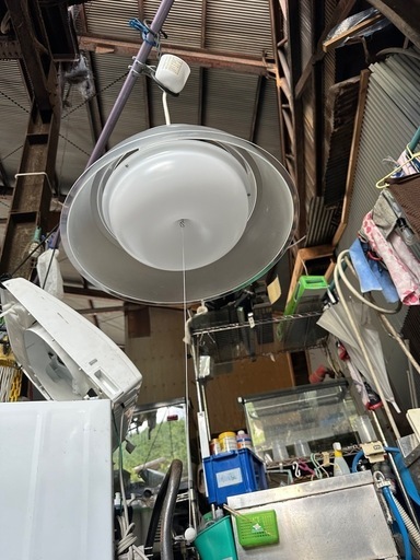 タキズミペンダントライトLED照明器具