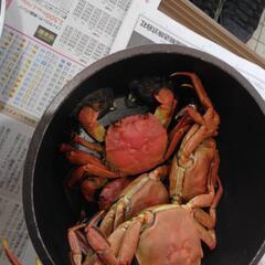 モクズガニ一匹200円(カニミソ甘いです）