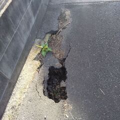 道路の穴埋め補修