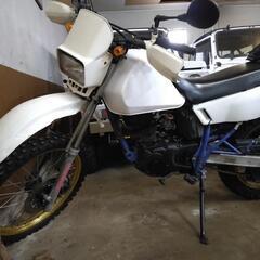 SX125