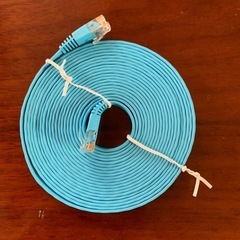LANケーブル ライトブルー の画像