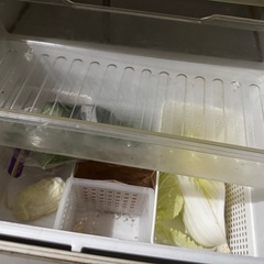 冷蔵庫SHARP 3ドアの画像