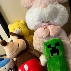 ぬいぐるみの画像