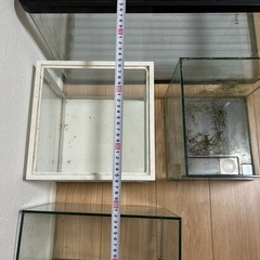 お盆セール　60センチ水槽含む　水槽5個セット　まとめて出品　ビーシュリンプで飼育の画像