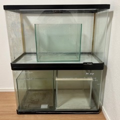 お盆セール　60センチ水槽含む　水槽5個セット　まとめて出品　ビーシュリンプで飼育の画像