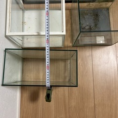 お盆セール　60センチ水槽含む　水槽5個セット　まとめて出品　ビーシュリンプで飼育の画像