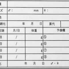 幼虫管理シート10枠×10枚
