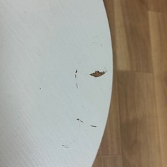 テーブルの画像