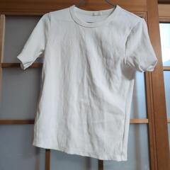 白シャツの画像