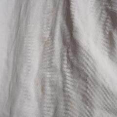 白シャツの画像