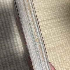 電撃大王 GENESIS 2010 SUMMER　あらゐけいいち　平野耕太の画像