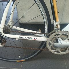 スポーツロード自転車 PINNARELLO TREVISO SPORT BIKEの画像
