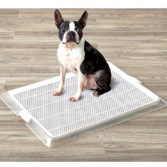 新品
おしゃれワンコ(犬)トイレの画像