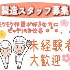 船橋駅より徒歩約10分！鮮魚加工(お刺身へのスライス作業)　大量募集♪
