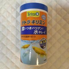 メダカ　テトラキリミン　
