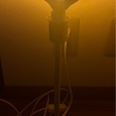 【無料・お引き取り希望】IKEA ランプ　　の画像