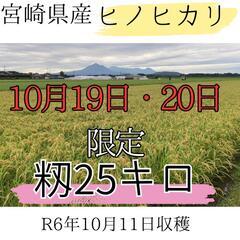 [残りわずか]新米　籾25キロ　ヒノヒカリ　10袋限定　R6年1...