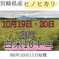 [受付終了]新米　白米　10キロ　ヒノヒカリ(10月19日・20...
