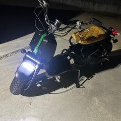 ズーマーカスタム