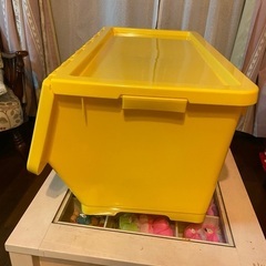 可愛い色の収納ケ-スの画像