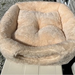猫ベッドの画像