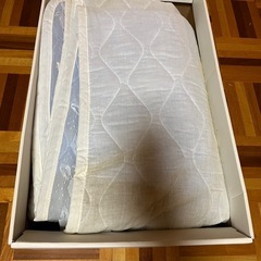 ★訳あり 超長期保管品 シミだらけの肌がけ★の画像