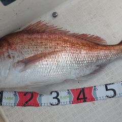 タイラバ用トリプルフック地獄針仕様５セットの画像