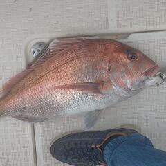 タイラバ用トリプルフック地獄針仕様５セットの画像