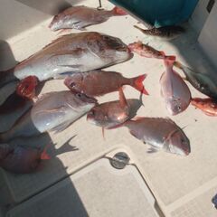 タイラバ用トリプルフック地獄針仕様５セットの画像