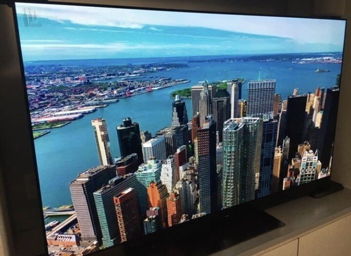 Panasonic 有機ELテレビ VIERA(ビエラ) TH-65GZ2000