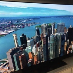 Panasonic 有機ELテレビ VIERA(ビエラ) TH-...