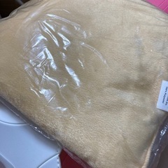 【未使用】コンパクトペットキャリー　オレンジ🧡の画像